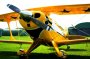 Aviat PITTS S-2A (1988) avion à vendre